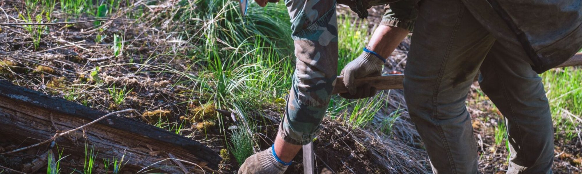 DaveGardner_NFF_TreePlanting_16