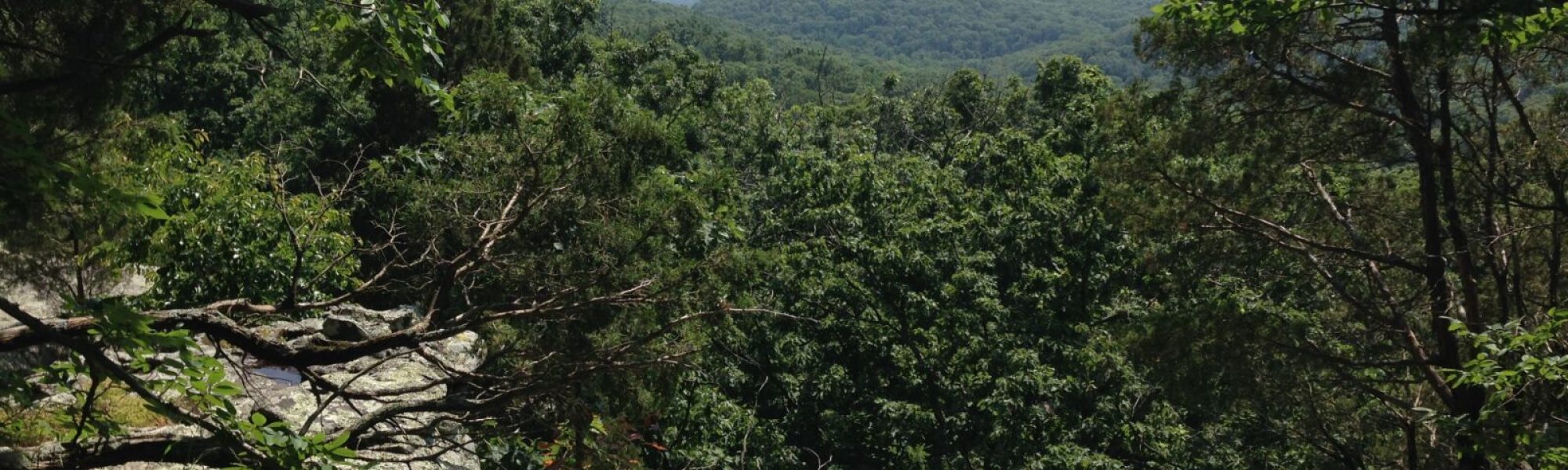 Shawnee-NF_Gardn-of-the-Gods_Michelle-Turner-2