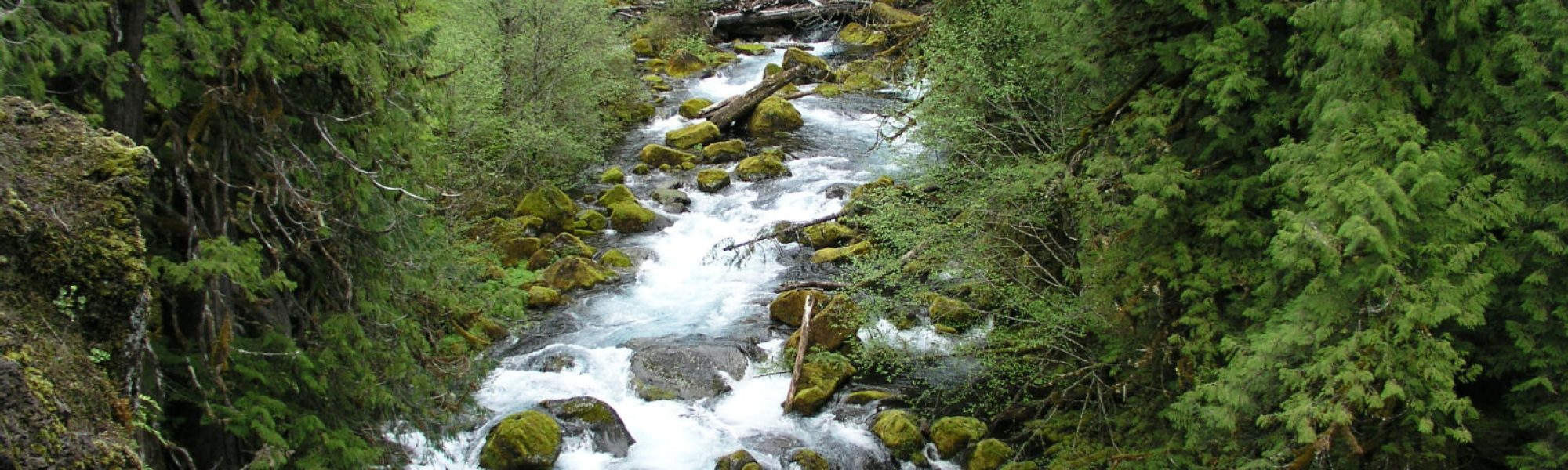 Wilamette-NF_Upper-McKenzie-River-Rapids_USFS